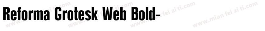 Reforma Grotesk Web Bold字体转换